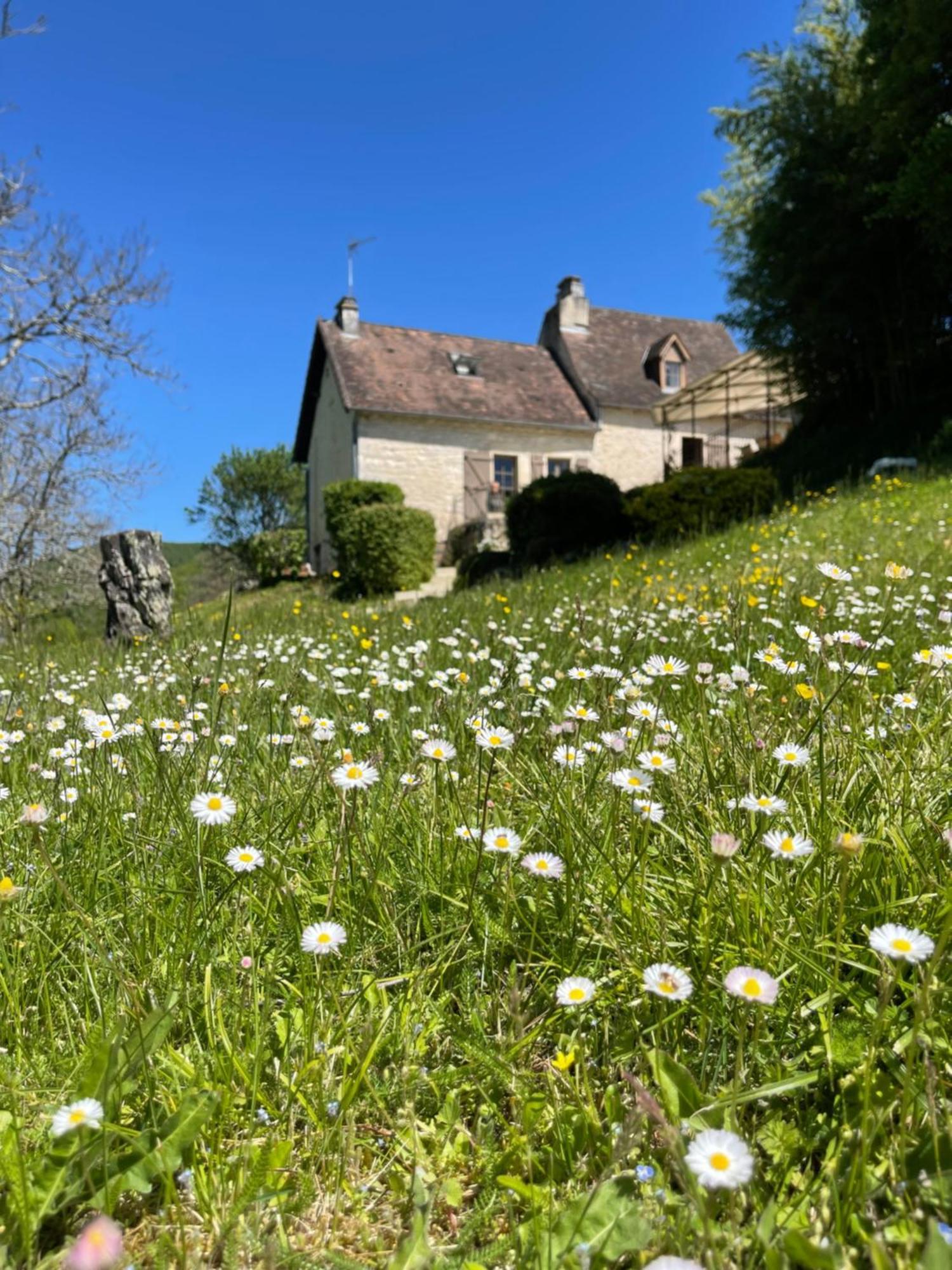 Willa Domaine Du Bonheur En Pierre Avec Piscine, Proche Sarlat Carlux Zewnętrze zdjęcie